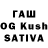Бошки марихуана White Widow Aisha Huseynova