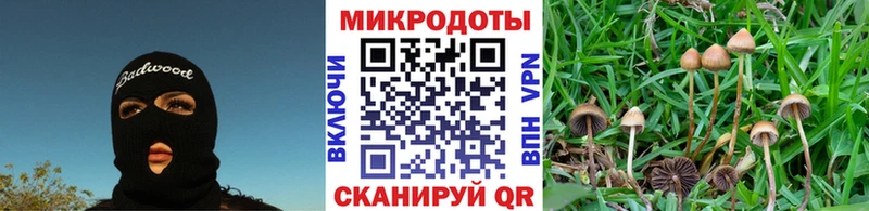 нарко площадка Telegram  Порхов  Псилоцибиновые грибы Cubensis 